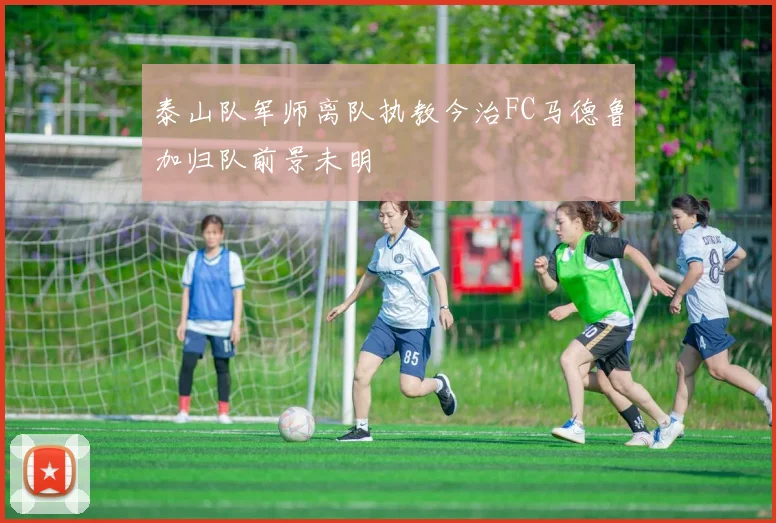 泰山队军师离队执教今治FC马德鲁加归队前景未明